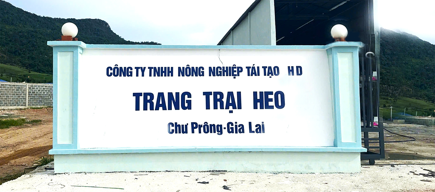 TRANG TRẠI HEO X TẠI GIA LAI